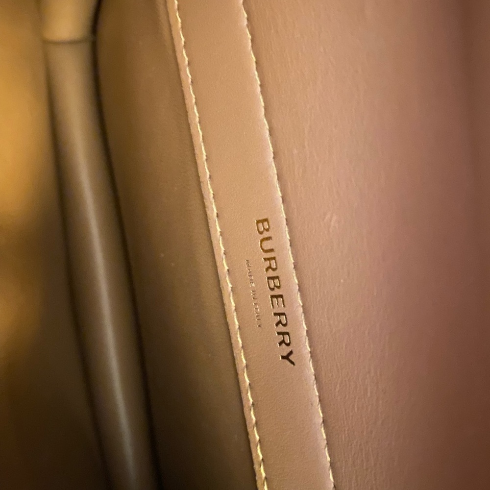 Burberry Jessie Stingray Print Leather Light Sand Gold Shoulder Bag Handbag NW - Picture 8 of 11